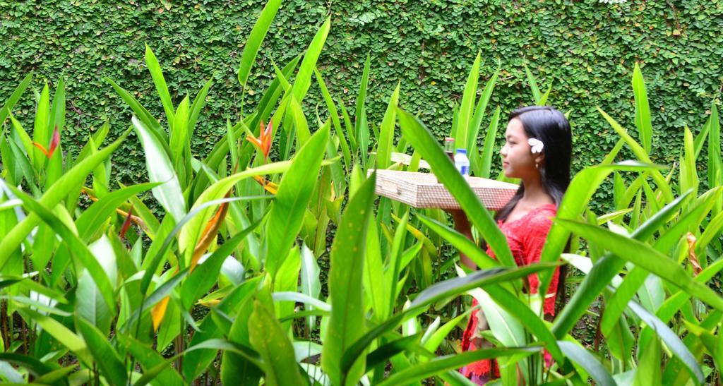 Griya Sriwedari Ubud Exterior foto