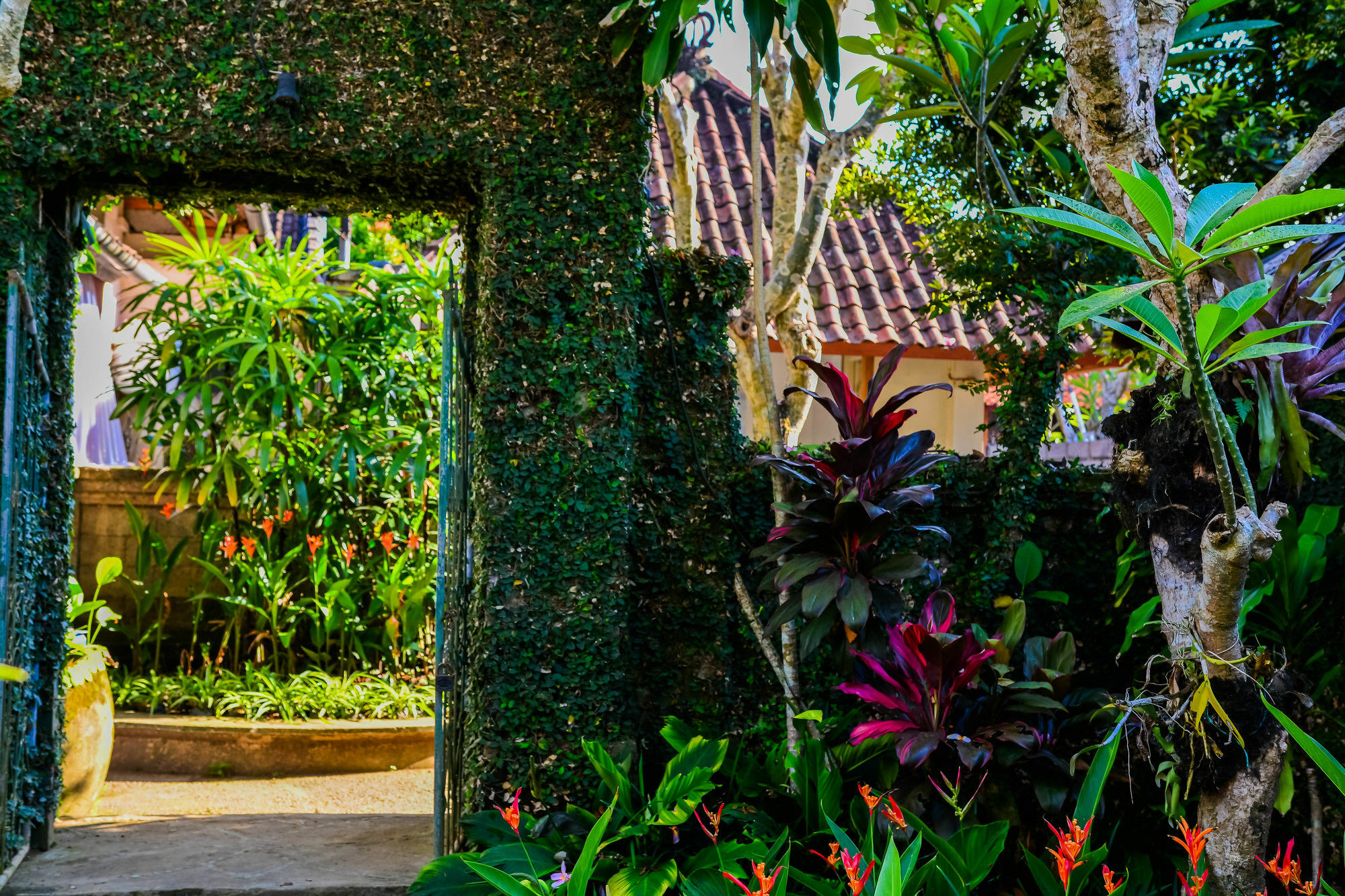 Griya Sriwedari Ubud Exterior foto